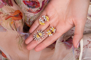 Golden Hour Collection - RUCHI New York